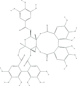 Chemical structure of casuarictin, a representative ellagitannin