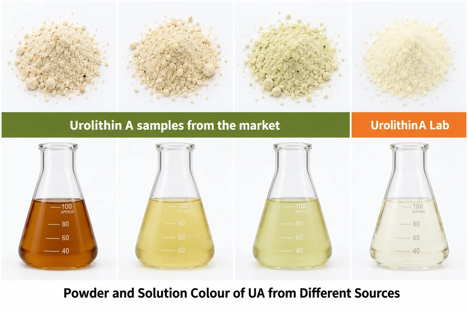 Side-by-side illustration of Urolithin A powder and solution appearance from different sources